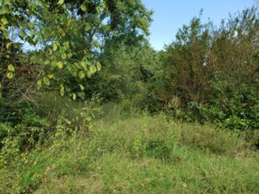 Large corner lot in Havana with a fixer upper home. Home is 1200 sq ft and needs repair. Not giving much value to home.