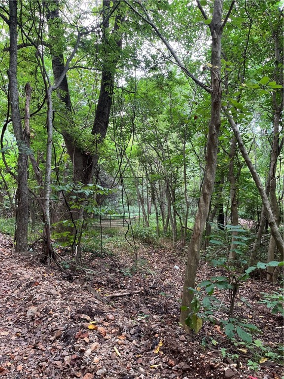 This wooded tract has a level spot, county road frontage, and is partially fenced. There is an old home site that is waiting for you to bring it back to life. It could make a good campsite or building site. Rural water and electricity are nearby. Some places nearby include Jasper, Parthenon, Buffalo National River, and the Ozark National Forest.