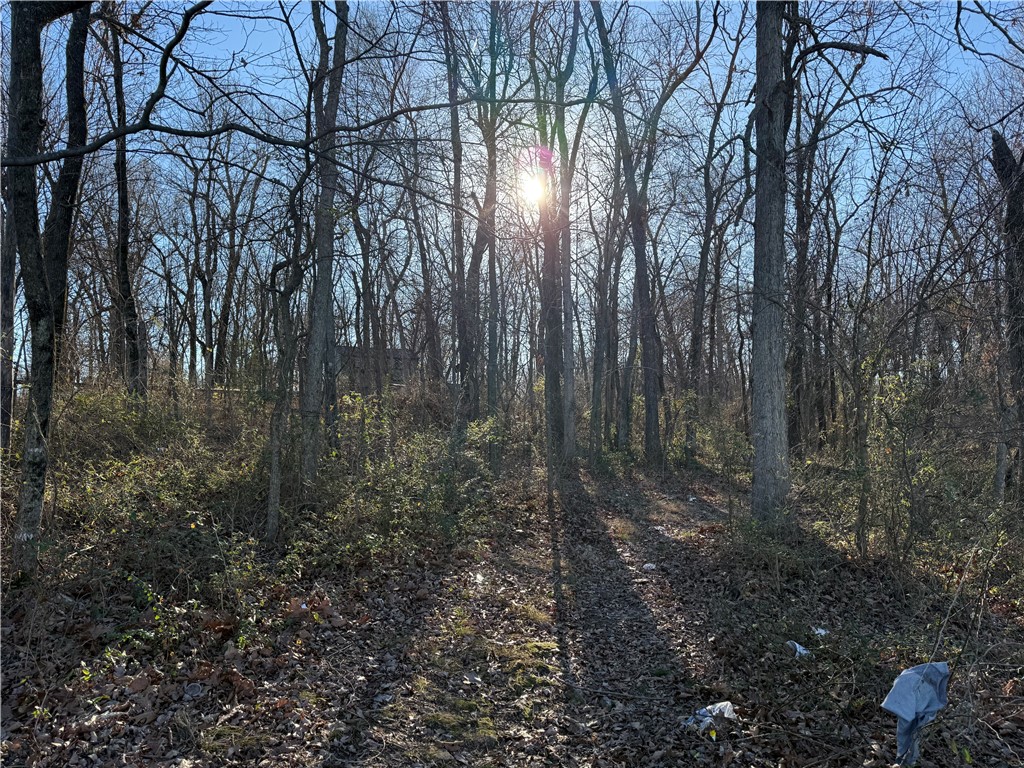 Springdale Outlots - Residential