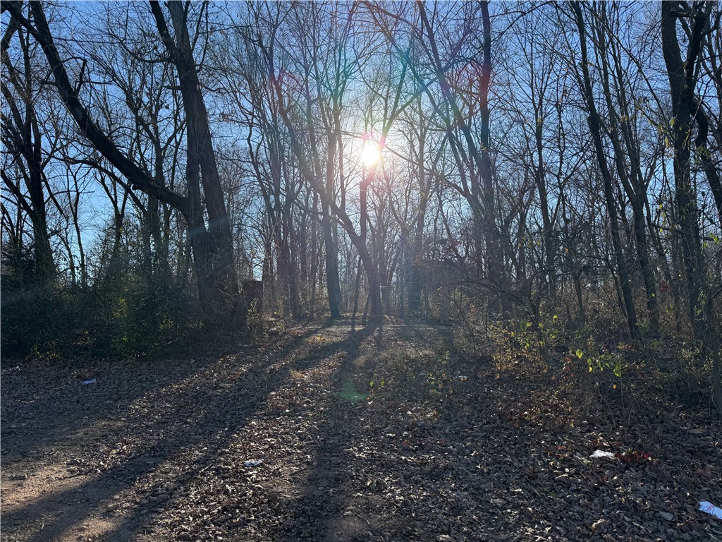 Springdale Outlots - Residential