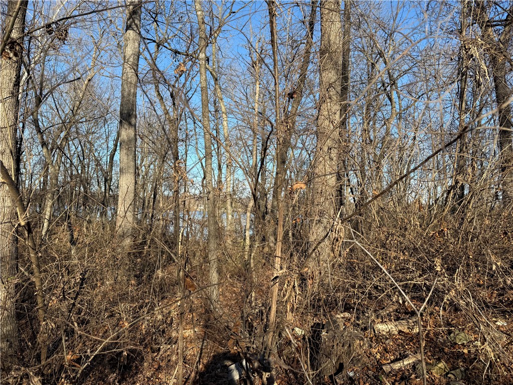 Springdale Outlots - Residential