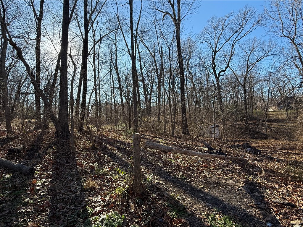 Springdale Outlots - Residential