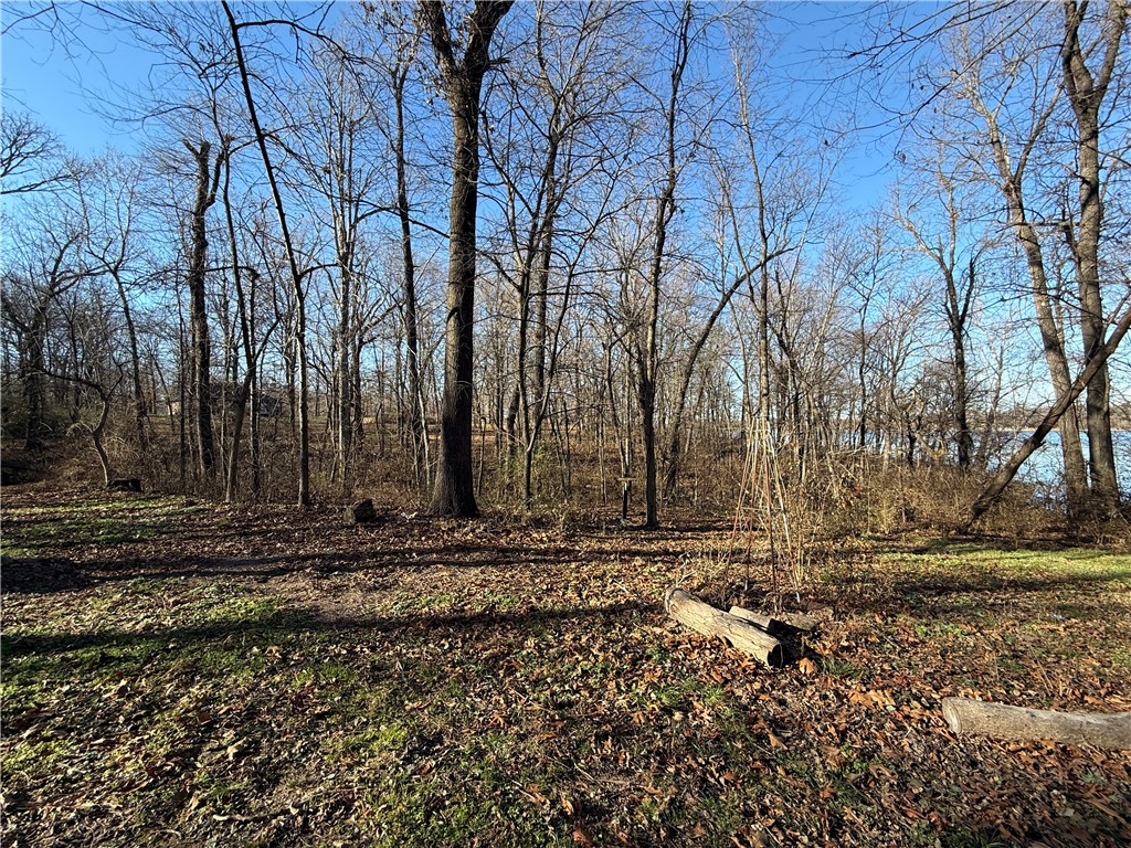 Springdale Outlots - Residential