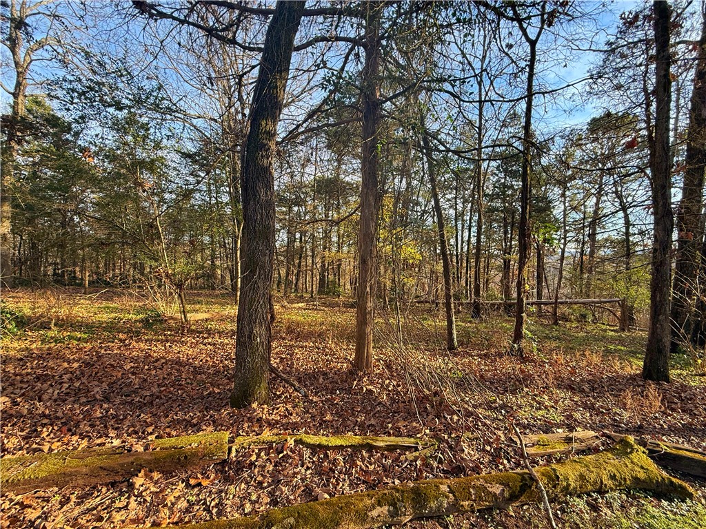 City Of Russellville - Residential