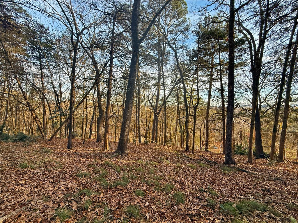 City Of Russellville - Residential