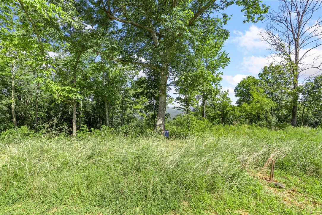 Round Mountain Estates - Land