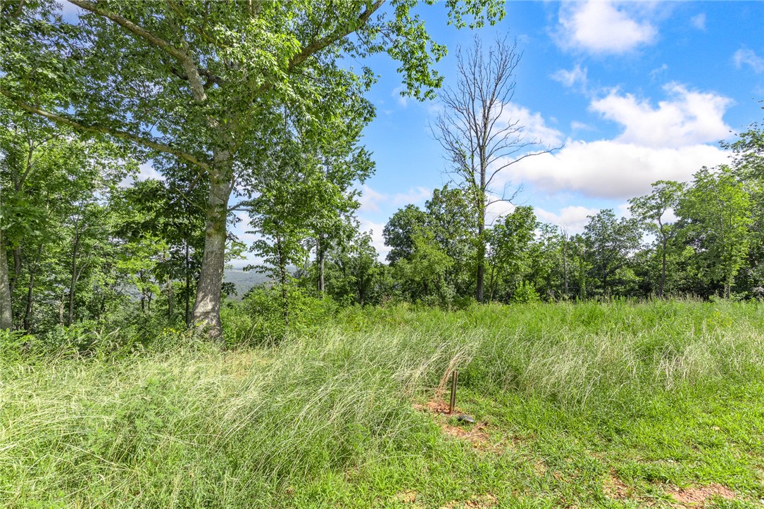 Round Mountain Estates - Land