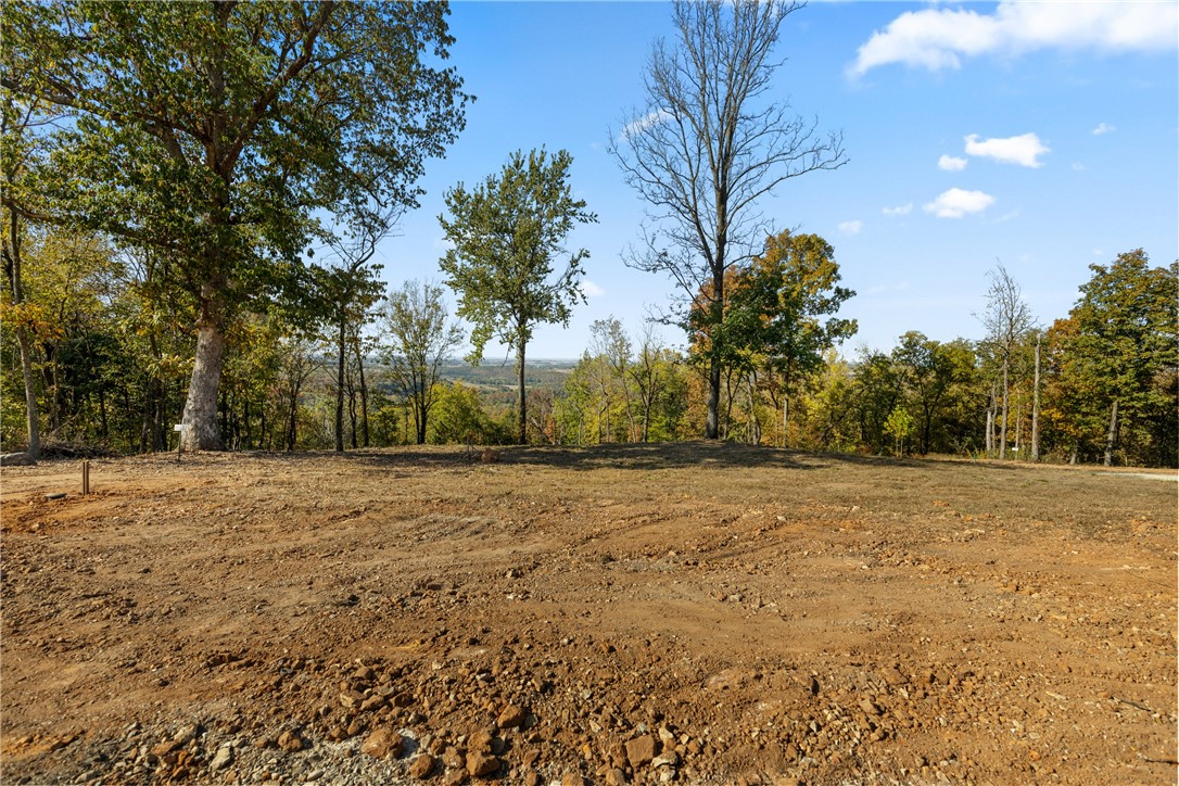 Lot 103 (2.00 m/l ac) of Round Mountain Estates. This is the largest lot still available to purchase and offers some of the most dramatic views in the subdivision! It faces the northwest and has views for hundreds of miles. RME is a new, master planned, exclusive subdivision located 10 minutes west of Harrison, AR. The following utilities are already on site making the building process much easier for you; natural gas, fiber optic internet, electric, public water, and sewer. Interested in your family seeing the star lights instead of those city lights? RME is what you've been searching for! RME features a 350 +/- acre common area for its residents that includes a stocked fishing pond, Kissing Rock trail, natural springs to explore, Baby Canyon trail, incredible bluff lines to climb, and views for hundreds of miles that will not only take your breath away but will forever be etched in your memory! Neighborhood amenities coming soon.