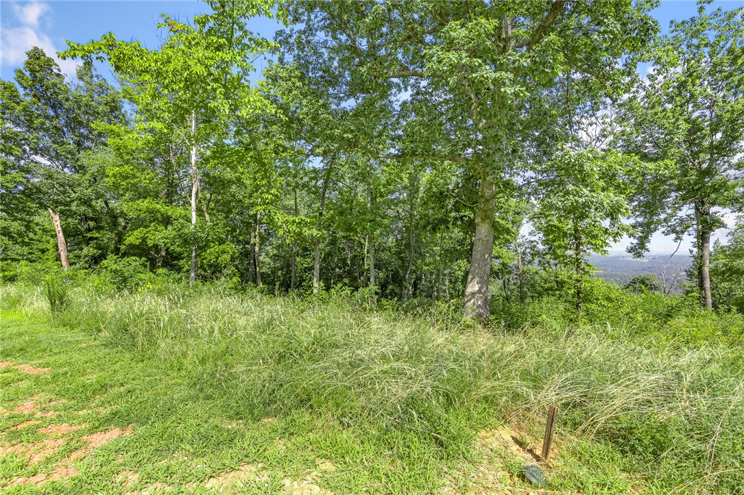 Round Mountain Estates - Land
