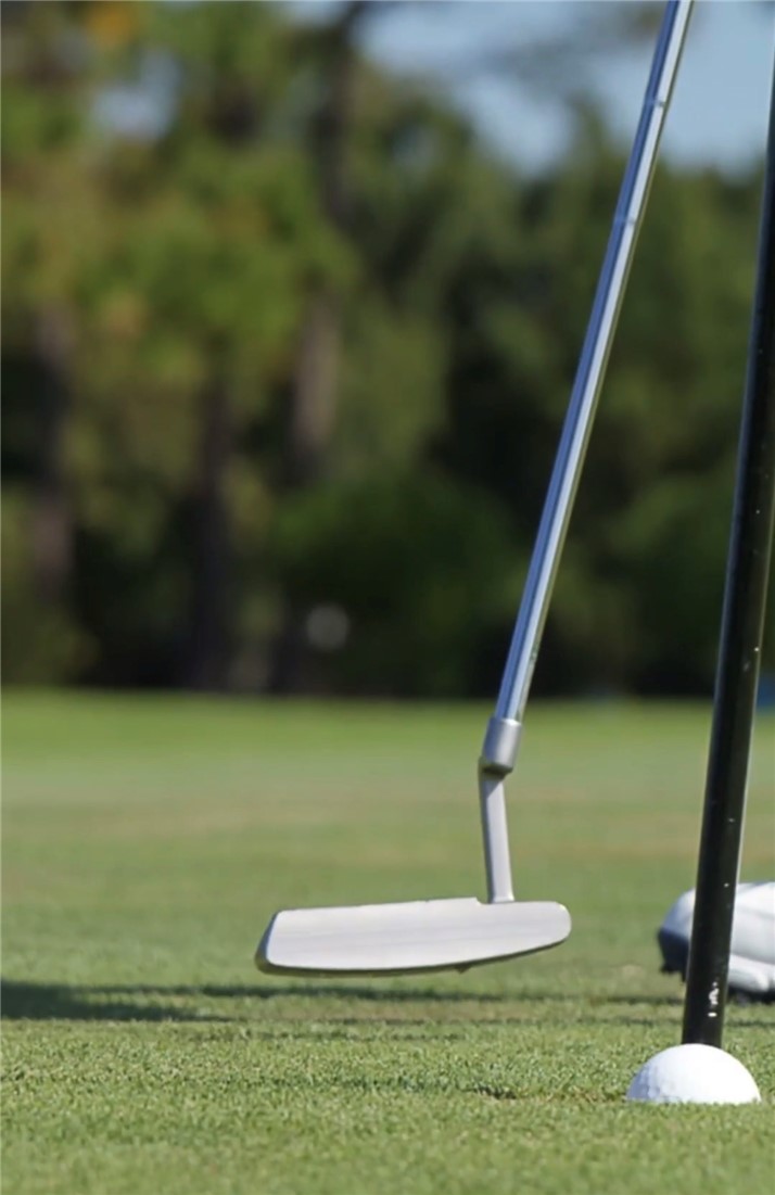 Forest Hills Sub Bvv - Residential