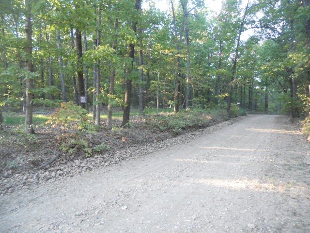 Large flat area with mature Hardwoods with a view to build your cabin or dream home in the heart of the Ozarks. Easy access to well maintained county road, only a short drive to the Buffalo National River.