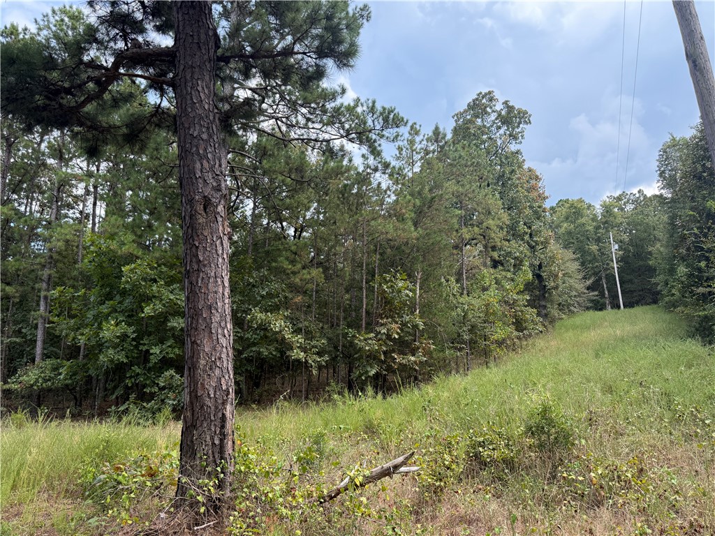 Great piece of property in Dardanelle for those looking for privacy and natural beauty. With over 4.5 acres and utilities on site, this could be the destination for your dream home.