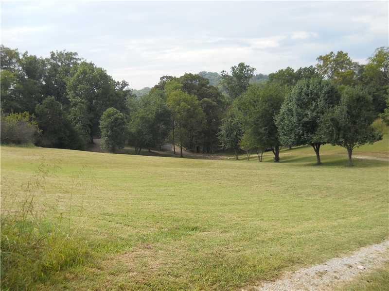Wonderful land with cleared rolling hills going down to the house. Property goes to the middle of the river. Very easy to get to the water . Large deck overlooking the river and breezy screened in porch on the other end of the home.,Walk on beautiful hardwood floors and enjoy an updated kitchen with glass backsplash . Wood burning stove in the huge living room adds ambience and warmth on the chilly nights or go out and lounge in privacy on the great big deck.