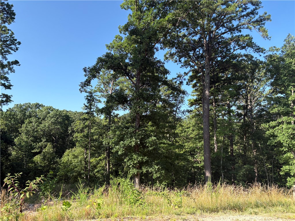 This prime lot in the new TRAIL RIDGE subdivision offers the perfect blend of convenience and nature. Located within a highly rated Bentonville school district, it features buried utilities, sewer access, and high-speed internet. Enjoy the serene, wooded surroundings and easy access to local trails including Tunnel Vision and Little Sugar. Plus, you're close to essential amenities, the Bella Vista Country Club/Golf Course, and Scottsdale Golf Course. Build your dream home with the neighborhood developer or bring your builder. The minimum build size is 1950 sf. This lot is adjacent to the Tunnel Vision trail. Don’t miss out on this unique opportunity in vibrant, growing Bella Vista, AR.