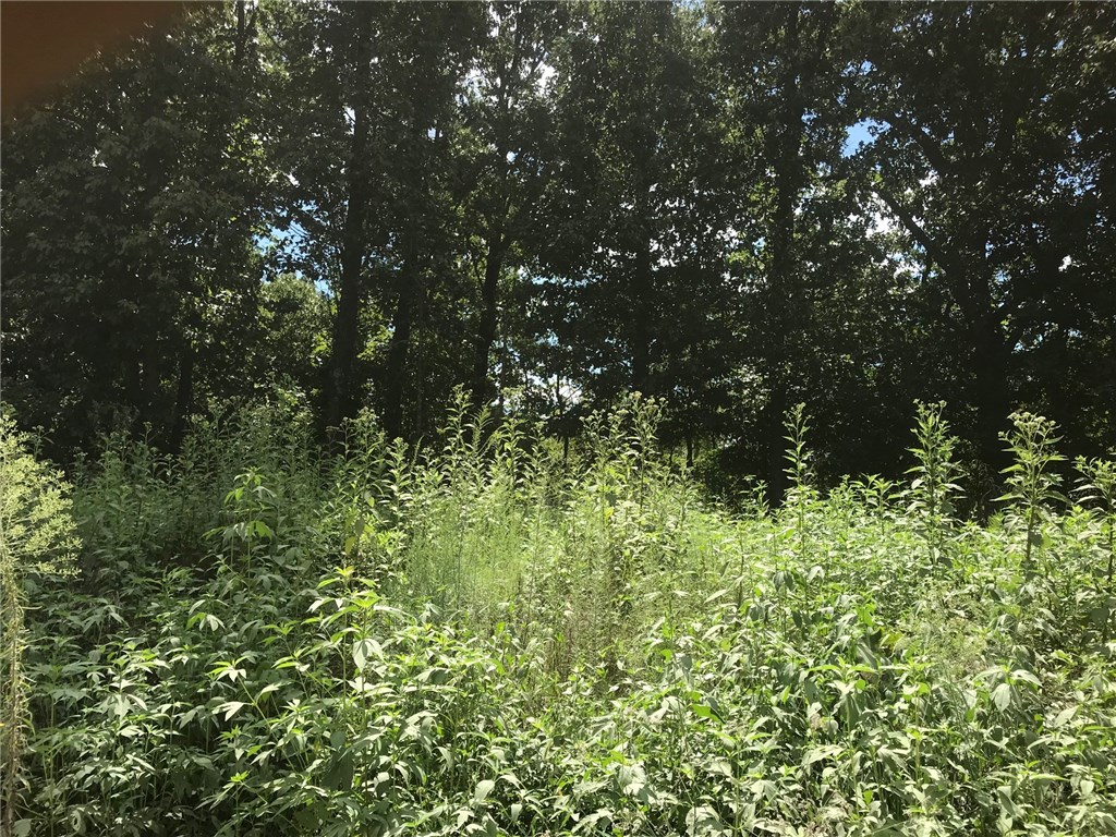 Privacy! Seclusion! Are you looking to build a small cabin in the woods? Or a place to put your trailer house? Or are you just looking for some good hunting ground? This property has it all! All wooded with some hollows.