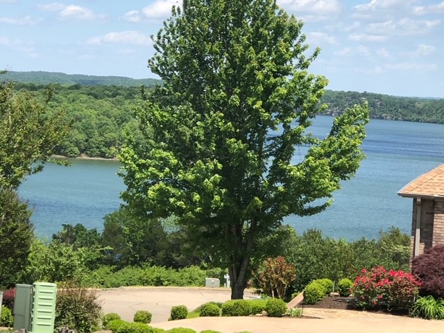 Boat Slip (10ft by 26ft) with swim deck included with this level, buildable lot with breathtaking views of Beaver Lake. Live work and play in the desirable Serenity Point Subdivision. LOCATED NEAR PRAIRIE CREEK MARINA... You will love the "serenity" of this location, amazing lake views and only 10 minutes to Downtown Rogers. Location, ambiance, and views will be why you will want to build your dream home on this lot. Utilities are underground and located at the street. Community Boat Slip has 7 stalls the slip that belongs to this Lot is the last one on left when on the dock.