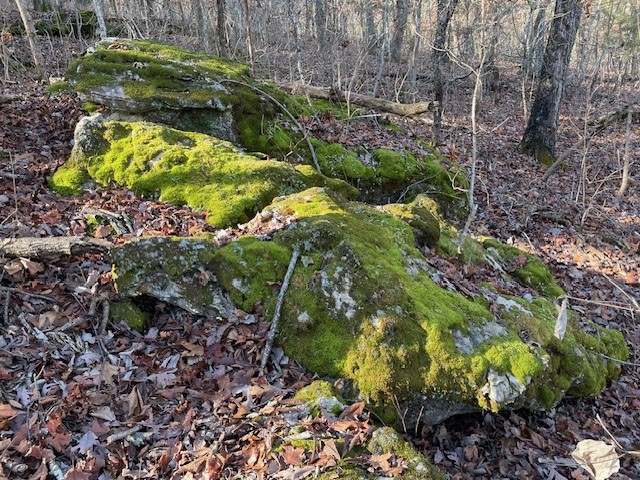 Huckleberry Point Ph Iii - Land