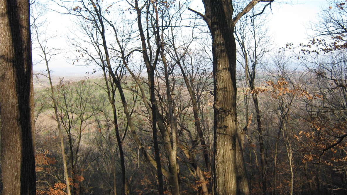 Huckleberry Point Ph Iii - Land