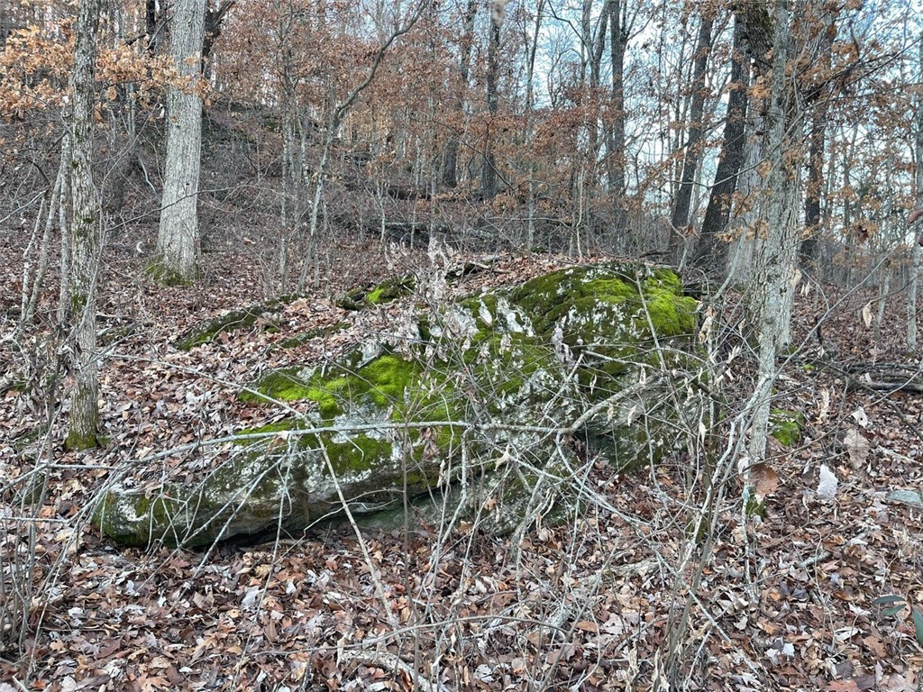 Huckleberry Point Ph Iii - Land