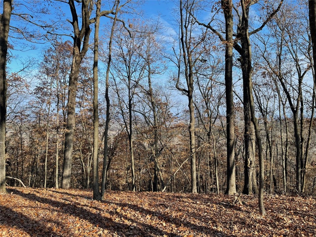 Huckleberry Point Ph Iii - Land