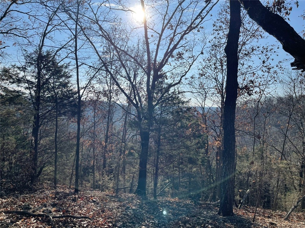 Huckleberry Point Ph Iii - Land