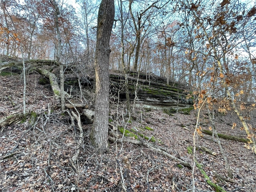 Huckleberry Point Ph Iii - Land