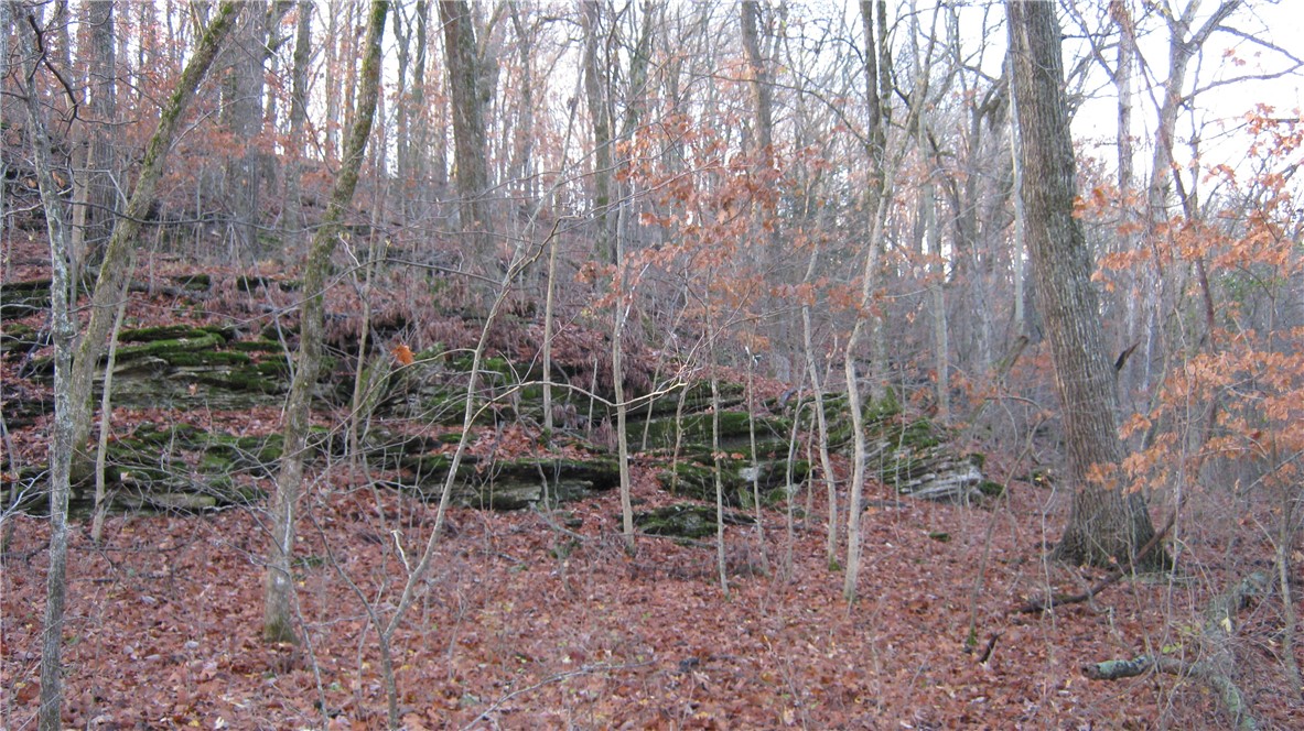 Huckleberry Point Ph Iii - Land
