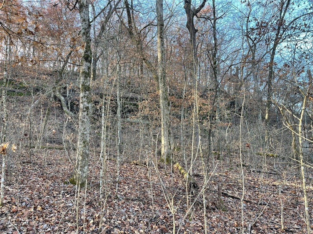 Huckleberry Point Ph Iii - Land