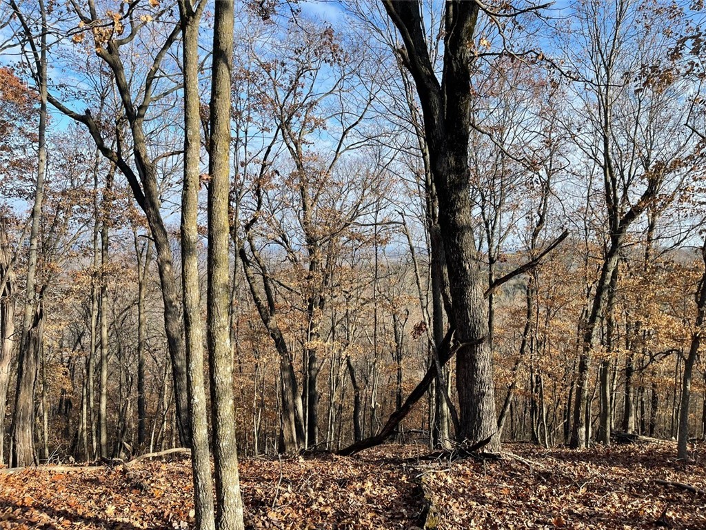 Huckleberry Point Ph Iii - Land