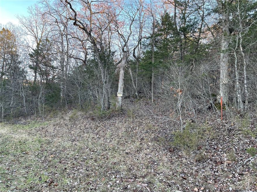 Lot 13 of the Huckleberry Point Unit III Subdivision on Ria Lane. This lot includes nice rock outcroppings with a beautiful view from the top of the property. A few flat spots on the property offer possibility for building on. There is a fresh water spring on the property that the owner has never seen dried up. Rural setting close to Eureka Springs, Table Rock lake and Kings River.