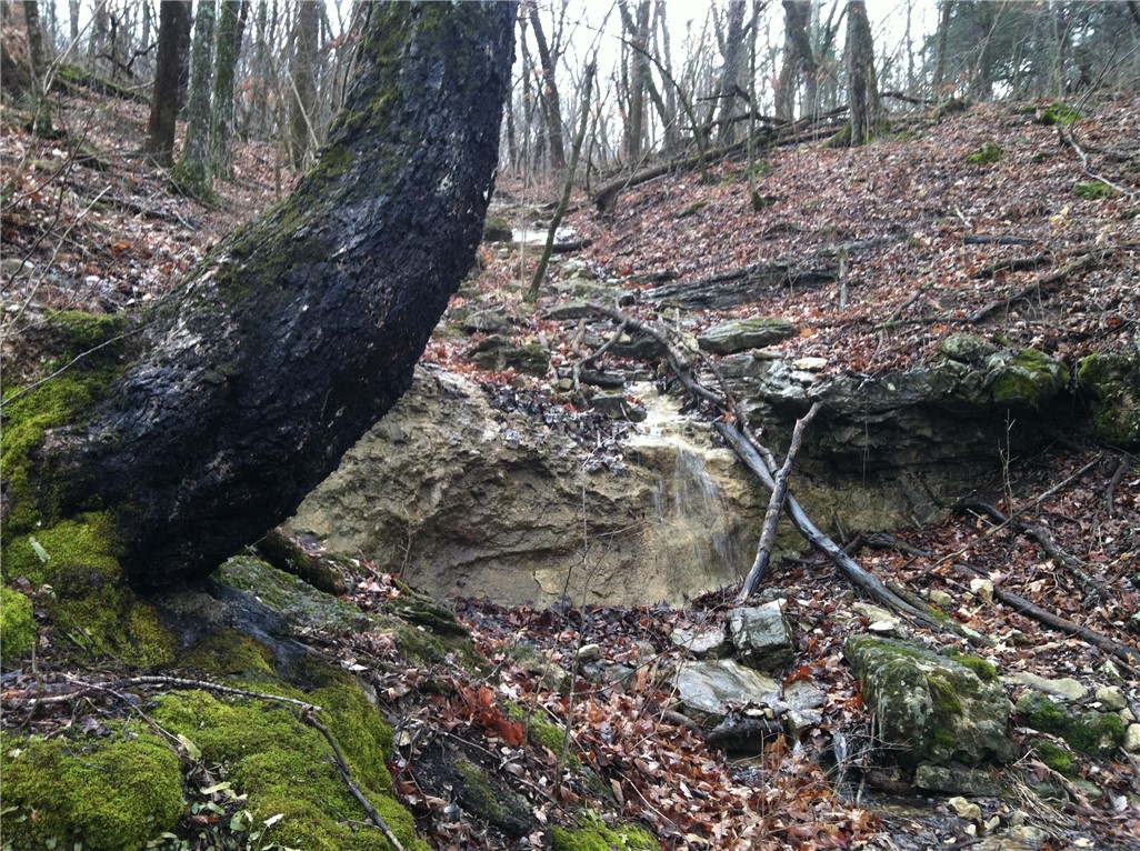 Huckleberry Point Ph Iii - Land