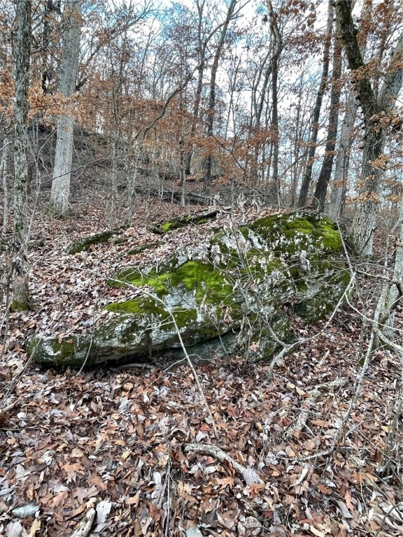 Huckleberry Point Ph Iii - Land