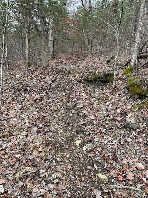 Huckleberry Point Ph Iii - Land