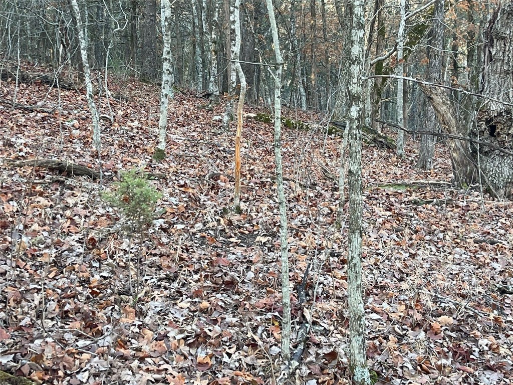 Huckleberry Point Ph Iii - Land