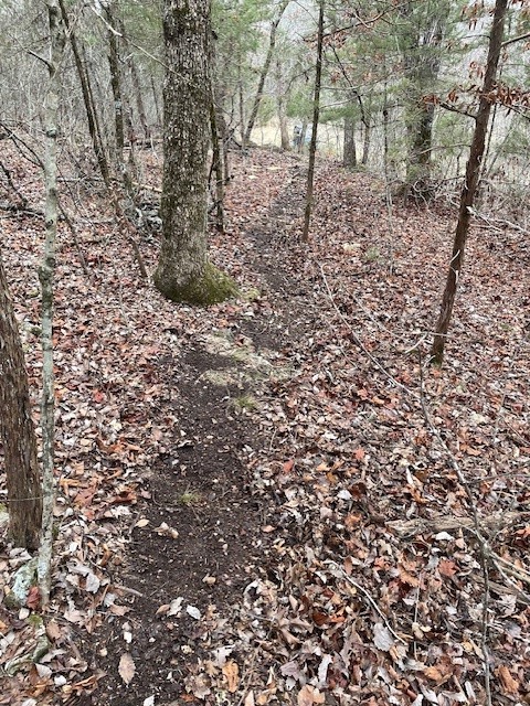 Huckleberry Point Ph Iii - Land
