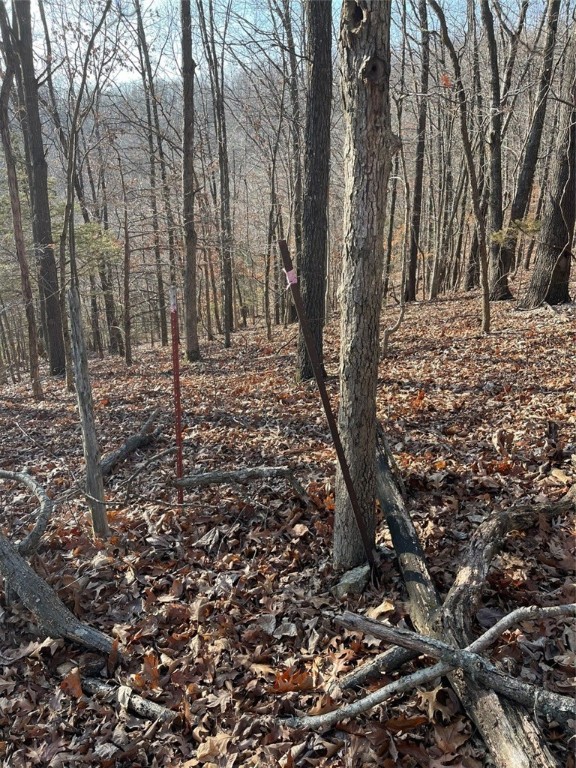Huckleberry Point Ph Iii - Land