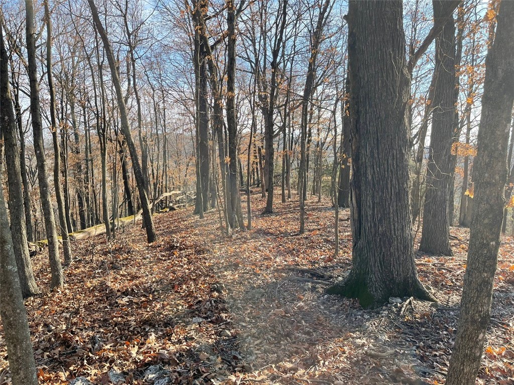 Huckleberry Point Ph Iii - Land