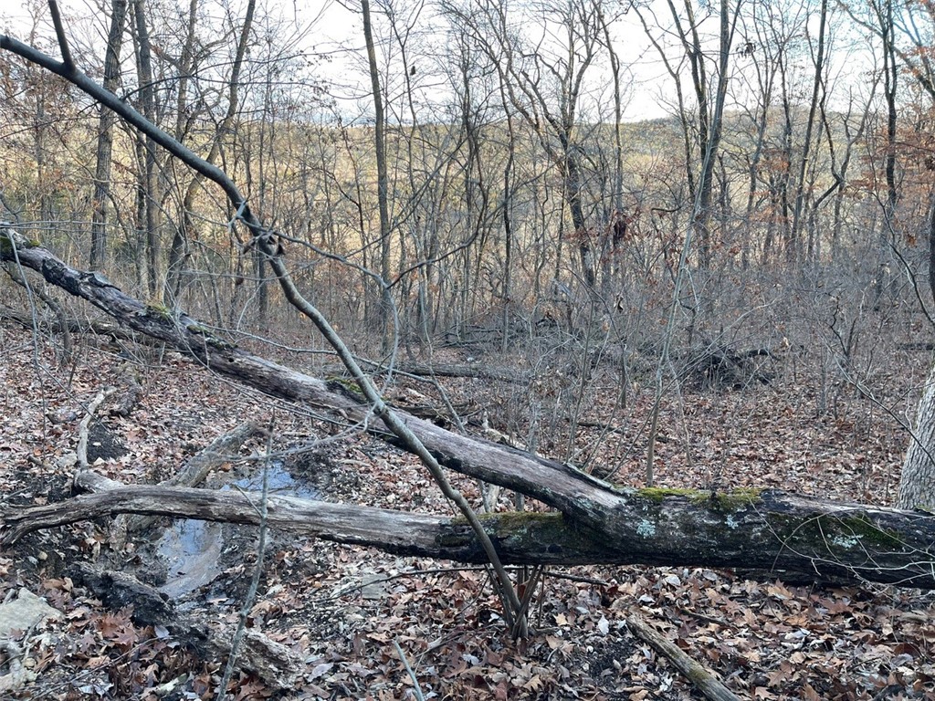 Huckleberry Point Ph Iii - Land