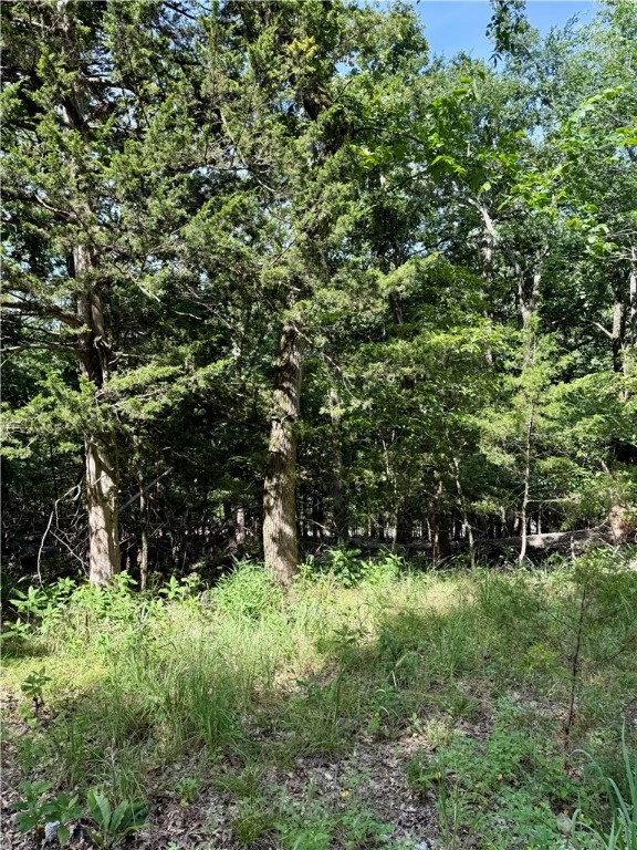 Here is your blank canvas to create your lake area living dream! The lot spans from Pine to Black Oak giving you flexibility in design. All utilities are at the street. Join the quiet community of Lost Bridge Village and enjoy amenities such as an airstrip, pool, pickle ball courts, and more. Two boat ramps are within a few miles for easy Beaver Lake access and Rogers is an easy 30 minute drive. Lot 39 and 40 are to be sold together, and this gives you space for privacy! Acreage based on county data, not a survey.