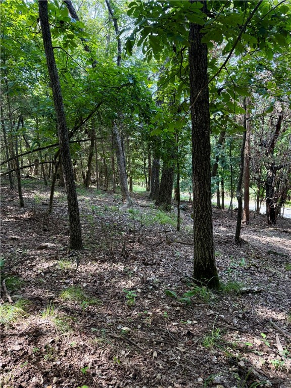 Here is your blank canvas to create your lake area living dream! The lot spans from Pine to Black Oak giving you flexibility in design. All utilities are at the street. Join the quiet community of Lost Bridge Village and enjoy amenities such as an airstrip, pool, pickle ball courts, and more. Two boat ramps are within a few miles for easy Beaver Lake access and Rogers is an easy 30 minute drive. Lot 39 and 40 are to be sold together, and this gives you space for privacy! Acreage based on county data, not a survey.