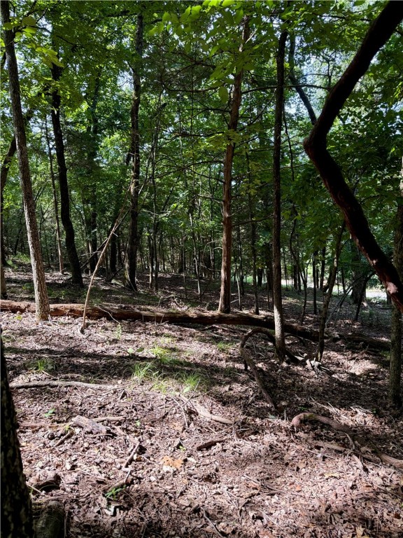 Moulder Hollow Sec Iii Rurban - Land