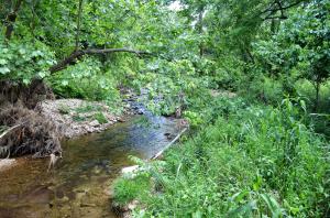 Beautiful place to build your dream home. Enjoy a fantastic creek that runs all year. Make yourself a private camping site right on the water. Or, put a cabin on the mountain and enjoy the view. Better yet, do both!