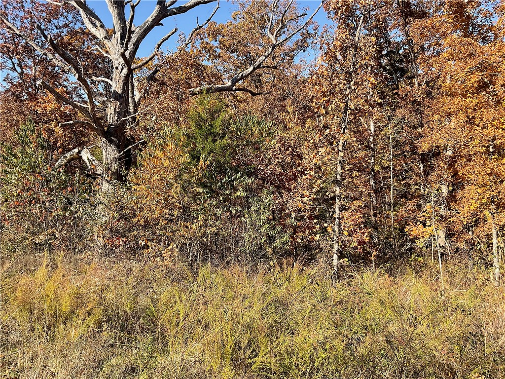 Angus Sub Bvv - Land