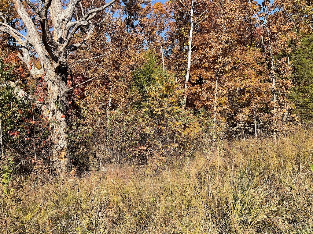 Angus Sub Bvv - Land