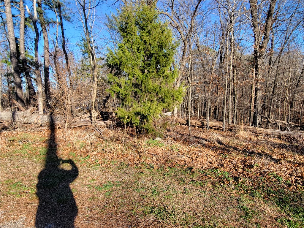 Radcliffe Sub Bvv - Land