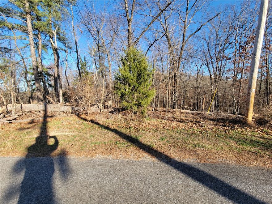 This large lot (.38 ac) has access to SEWER and is nicely shaped to build your new home on!  It's located near The Back 40 trail system. The lot has only a very mild slope on the front half, making it a great building site.  Go check it out and see if this is where you want your new home to be.  Bentonville schools!