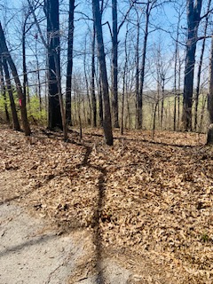 Whithorn Sub Bvv - Land