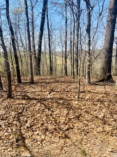 Whithorn Sub Bvv - Land