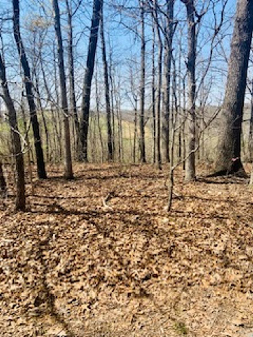 3 beautiful contiguous lots located on a peaceful cul de sc in a neighborhood of new construction homes.  Dream Views and Fantastic Location!  Watch beautiful sunsets while horses and cows graze from you view of Browning Creek Valley from this scenic .98 ac, 3-adjoining-lot property on the edge of SW Bella Vista.  Only minutes to two I49-on-ramps.  These lots are also walking distance to Tiree Boat Ramp ad picnic area on beautiful Lake Loch Lomond.  Completed surveys and perc test are available ready for planning your custom build that's perfect for a walkout basement feature.  It would be difficult to find another property in Bella Vista like this!  Come see it today!