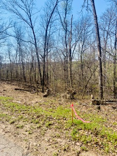 Whithorn Sub Bvv - Land